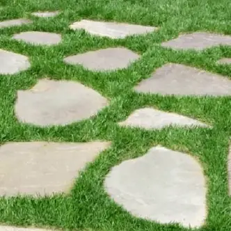 Can You Grow Grass Between Pavers, Laying Patio Blocks On Grass