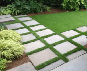 grass between pavers