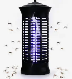 Gnat and Bug Zapper