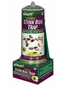 Stink Bugs Trap
