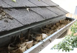 clogged gutters