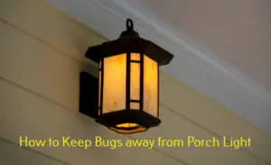 Bugs on porch light control