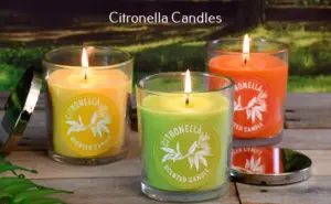 Citronella Candles