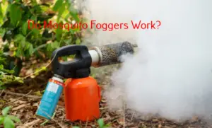 Mosquito Fogger