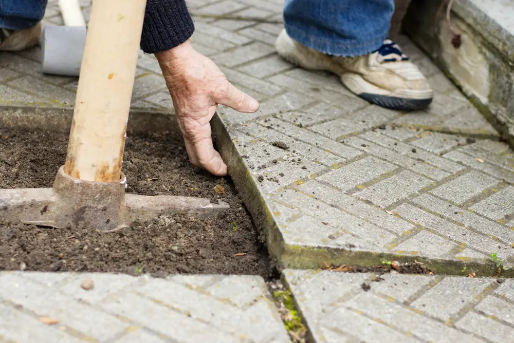 Paver removal